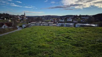 Expose 8212 Pischelsdorf: Bauträgergrundstück mit 8.454 m².