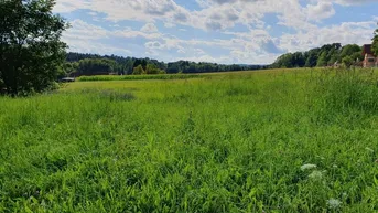 Expose Baugrundstück mit 3.000 m² in sonniger Lage!