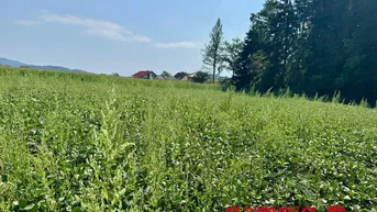 Expose Baugrund mit Potenzial in Klagenfurt-Wölfnitz