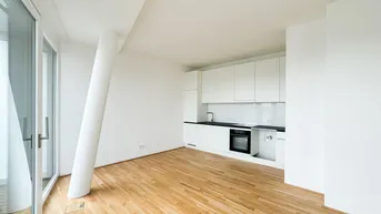 Expose Sonnige Pärchenwohnung mit Donaublick - direkt bei U1