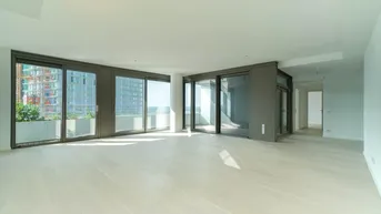 Expose Terrassenwohnung in den Danube Flats mit atemberaubendem Ausblick