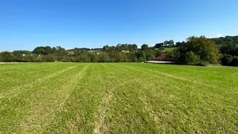 Expose Landwirtschaftliche Grünfläche / Freizeit-Grundstück