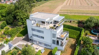 Expose 75 m² Büro in Steyrs Bestlage – Erdgeschoss mit Terrasse &amp; Tiefgarage