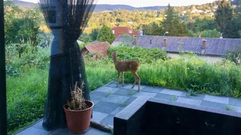 Expose Perfekte Aussicht! FernblickI Wohnjuwel!
