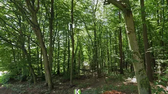 Expose Exklusives Grundstück nahe Gablitz am Riederberg – Wohlfühloase mit Entwicklungspotenzial