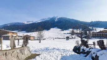 Expose Wunderschönes Baugrundstück in Sonnenlage von St. Ulrich am Pillersee