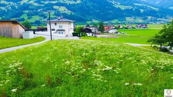Ländliche Landschaft mit grünen Wiesen, vereinzelten Häusern und Bergen im Hintergrund.