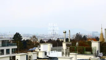 Expose 3.Belvedere/Prachtvolle DG Wohnung mit Blick auf Wien in einem alten Herrenhaus.