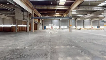 Expose Großzügiges Lager mit Freifläche in zentraler Lage von Traiskirchen - ideal für Industrie und Gewerbe.