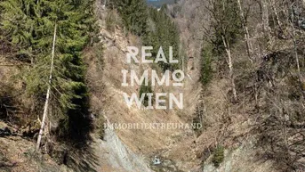 Expose Waldparadies in Taxenbach – 13.141 m² Natur pur
