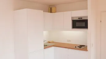 Expose 1020, Czerningasse/U1 Nestroyplatz, neu sanierte 1 Zimmerwohnung mit großer Terrasse unbefristet zu vermieten