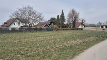 Expose Zentral in der Stadt Eferding: Ein einmaliges Baugrundstück - ohne Bauzwang, flexible Bebauung möglich