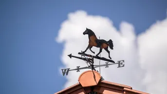 Expose Einzigartiges Reitsportzentrum 30 Minuten von Wien entfernt