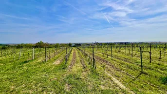 Expose Traumhaftes Grundstück in Weinregion für touristisches Projekt