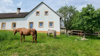 Expose PROVISIONSFREI- Generalsanierter 4-Kanter für Pferdehaltung, 3 Hektar