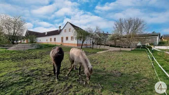 Expose PROVISIONSFREI-Generalsanierter 4-Kanter für Pferdehaltung, 3 Hektar