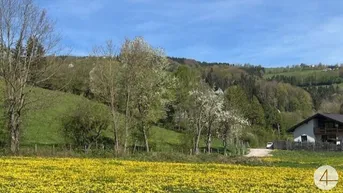 Expose Apfelblüte im Mostviertel - Baugründe in wunderschöner, sonniger Lage!