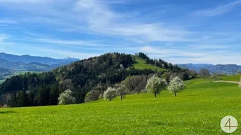 Expose Apfelbaumblüte vor Ihrem Haus im schönen Mostviertel - Baugründe in wunderschöner, sonniger Lage!