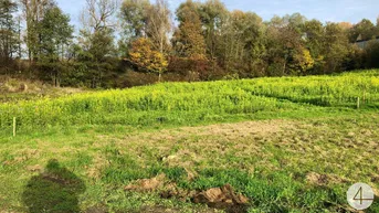 Expose Ebenes Baugrundstück in Siedlungslage + 5000 m2 Grünland