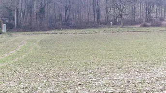 Expose Baugründe in guter Lage in Kopfing im Innkreis 55 Euro/m2, Aufgeschlossen