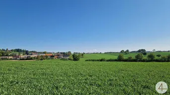 Weitläufige grüne Landschaft mit Feldern und Häusern in der Ferne unter klarem blauem Himmel.