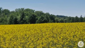 Expose Ackerflächen 5,59 ha Nähe Andorf
