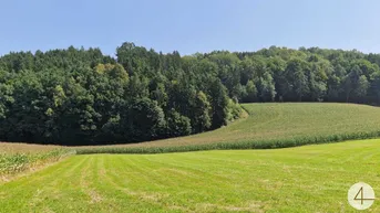 Expose Ackerfläche von 8,8ha zu verkaufen