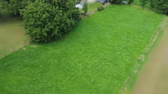 Expose Großzügige Grundstücke für Land- und Forstwirtschaft. Baldramsdorf. Spittal an der Drau. Wald und Wiese.