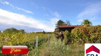 Expose Neuer Preis: Wien KAUF - Reizendes Tinyhaus am Bisamberg