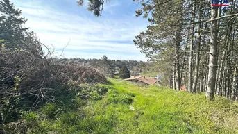 Expose RESERVIERT: Kronberg KAUF - Villa in traumhafter Lage mit großem Grund und Schwimmbiotop