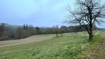 Expose Großzügige landwirtschaftliche Flächen