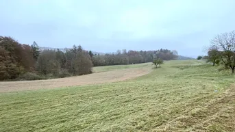 Expose Großzügige landwirtschaftliche Flächen