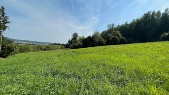 Expose Traumhaftes Grundstück mit Fernblick