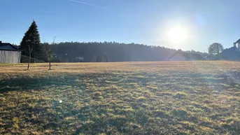 Expose Sonniger Baugrund mit Fernblick