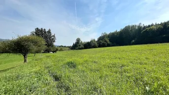 Expose Ihr zukünftiges Zuhause: Grundstück in Ruhelage