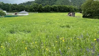 Expose Weitläufiges Baugrundstück in bester Lage