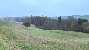 Expose Zusammenhängende Grundstücksflächen für landwirtschaftliche Nutzung