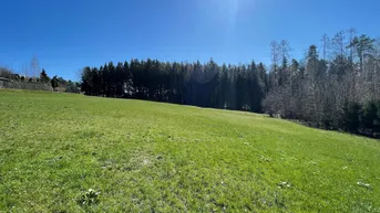 Expose Bauträger aufgepasst: Sonniges Grundstück in idyllischer Ruhelage