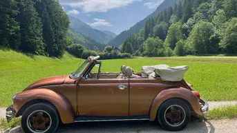 Expose MARIAZELLER LAND - in einem traumhaften Seitental - Haus mit extremen Potential !