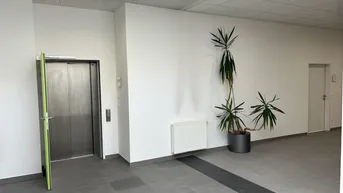 Expose Klimatisiertes, helles Großraumbüro im BIZ Kapfenberg ab sofort! Top 205 - provisionsfrei!