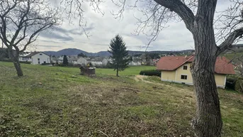 Expose Großzügiges Grundstück in sonniger Hanglage von Graz-Andritz zu verkaufen!