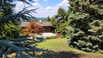 Expose TRAUMLAGE MIT POOL AM HUNDSHEIMER BERG - FERNBLICK