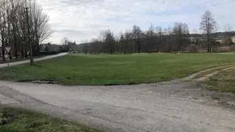 Weite grüne Wiese mit einem Feldweg und Bäumen am Horizont unter bewölktem Himmel.