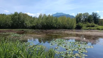 Expose Juwel Krottensee - Ruhe Oase ein Steinwurf von Ihrem neuen ZUHAUSE