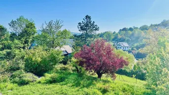 Expose GRUNDSTÜCK MIT TRAUMHAUS UND TRAUMBLICK AM ÖDBERG / SACHSENVIERTEL