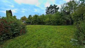 Expose Wunderschönes, ebenes Grundstück in Wilfersdorf