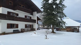 Schneebedeckter Gartenbereich mit großem Nadelbaum und einem kleinen Pavillon im Hintergrund.