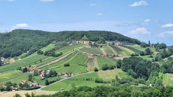 Malerische Hügellandschaft mit weitläufigen Weinbergen, verstreuten Häusern und üppigen Wäldern unter blauem Himmel.