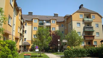 Expose Wieselburg, 3 Zimmer, 77 m² / [Telefonnummer entfernt]