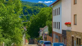 Expose Traumhaftes Landhaus, 2 Wohneinheiten, 2. Baugrund möglich, Kaltenleutgeben!!